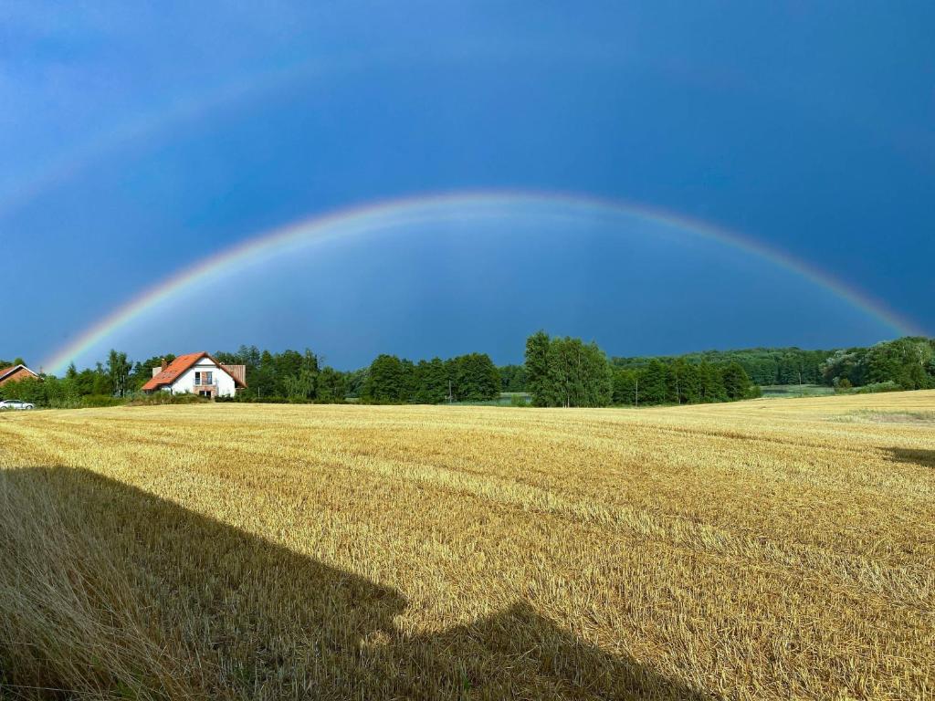 Příroda nedaleko apartmánu