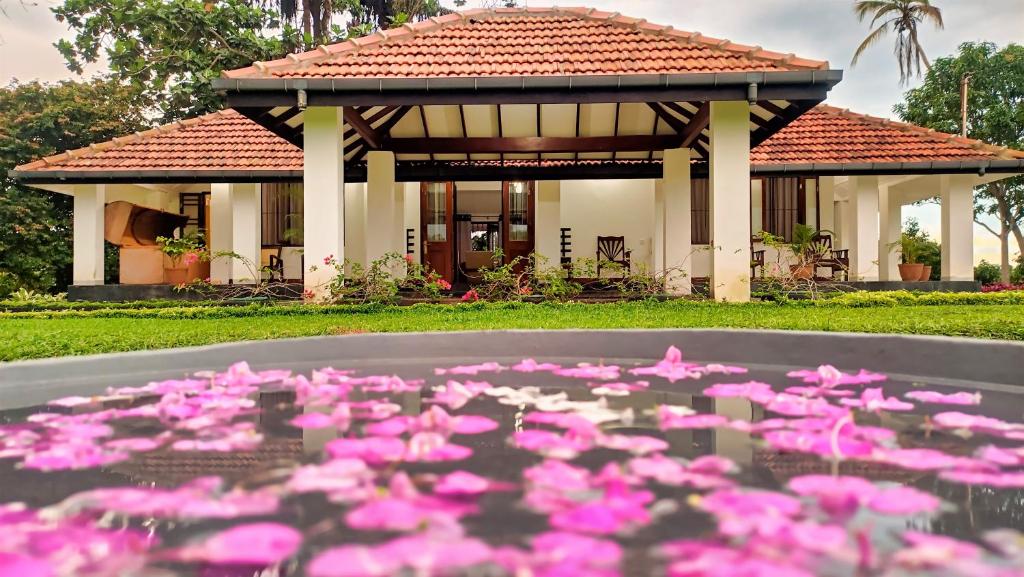 a pool of pink flowers in front of a house at Aroma Woods in Hikkaduwa