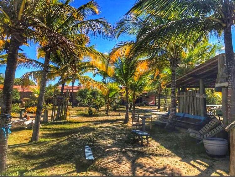 a resort yard with palm trees and a bench at Refugio Mar Aberto in Alcobaça