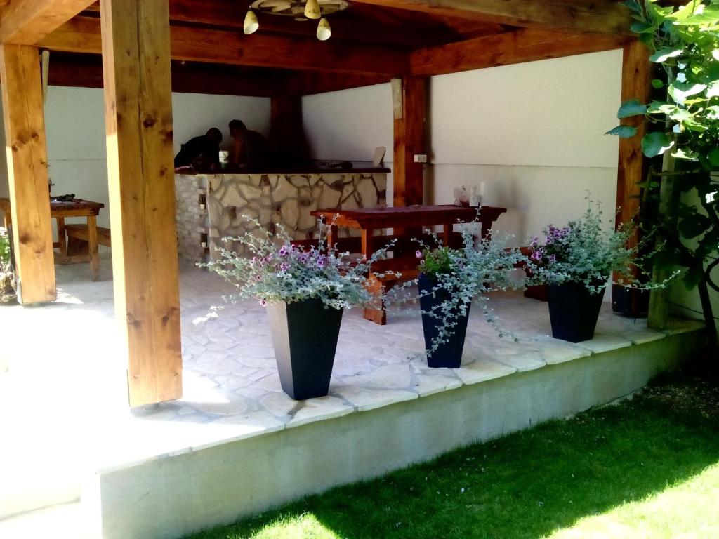 un grupo de plantas en macetas sentadas en un patio en Apartments Peloža, en Poreč