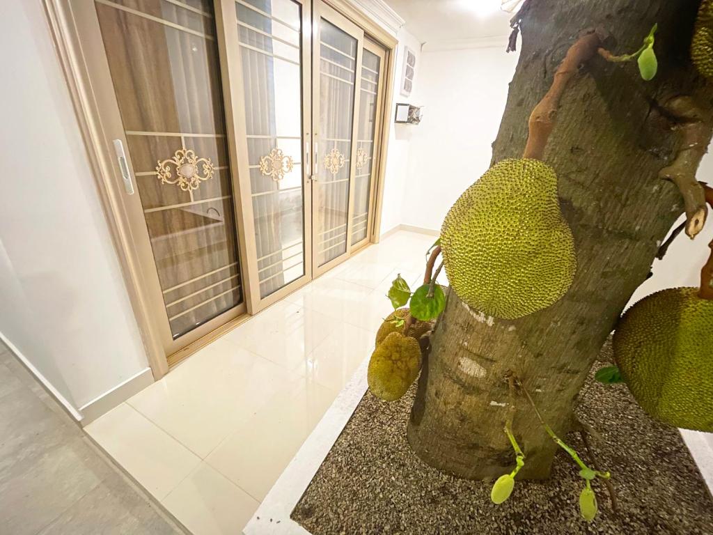 Fotografie z fotogalerie ubytování Tiverton Homestay v destinaci Godagandeniya
