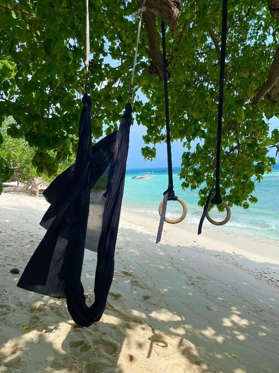 Samura Maldives Guest House Thulusdhoo - 18