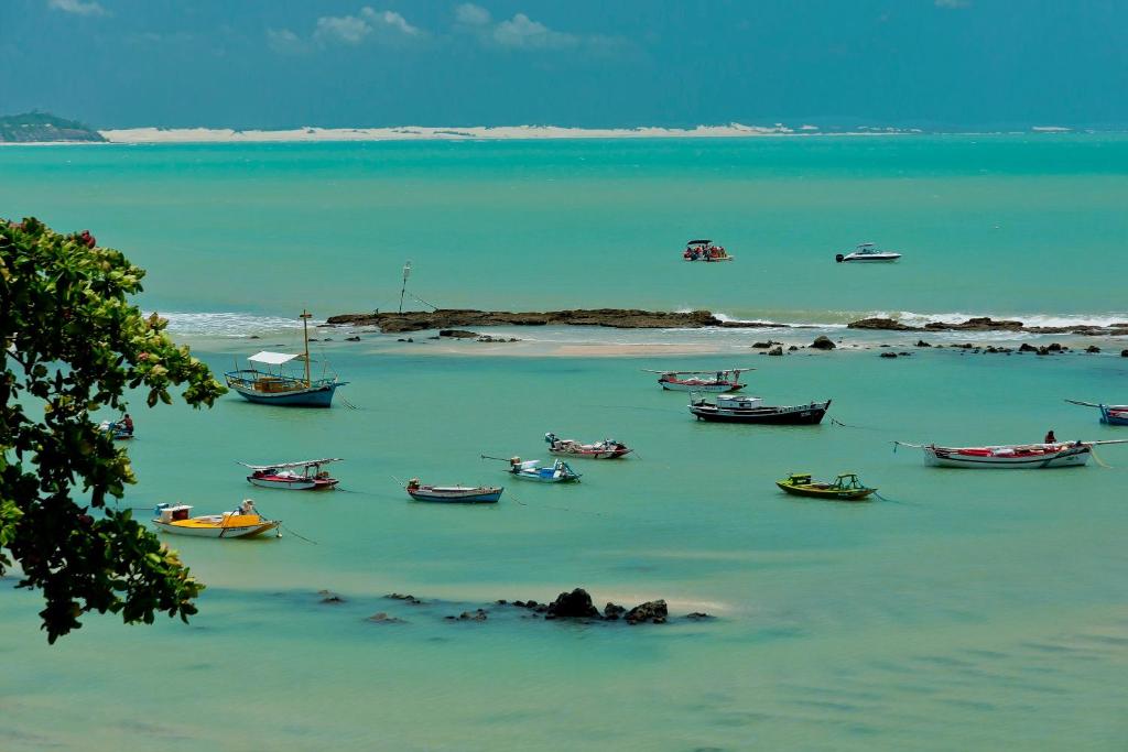 un groupe de bateaux dans l'eau sur une plage dans l'établissement Boutique Hotel Marlin's, à Pipa