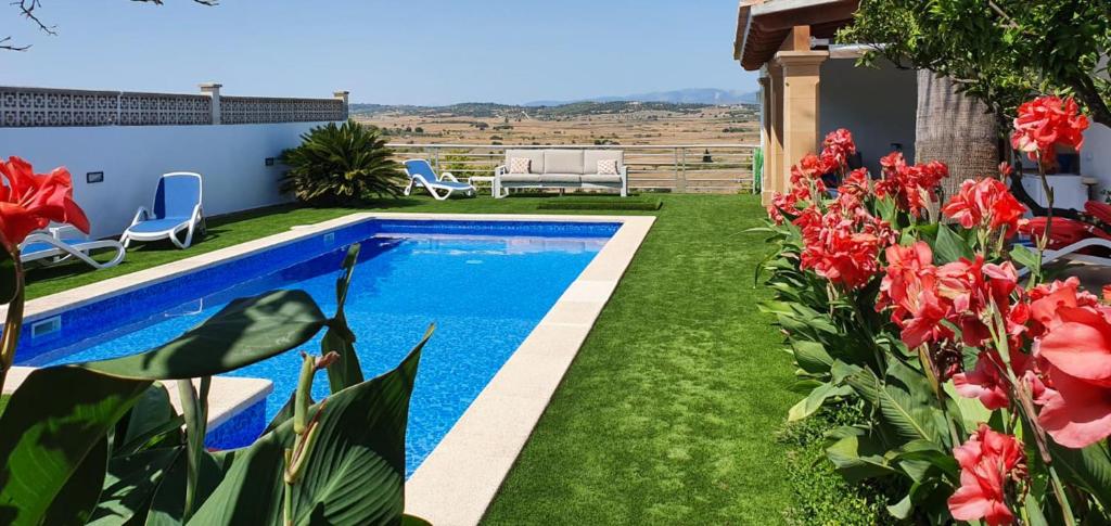 The swimming pool at or close to Can Serra -Santa Margalida-