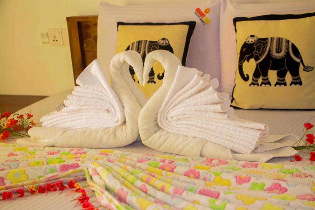 Hungry Lion Sigiriya - 2