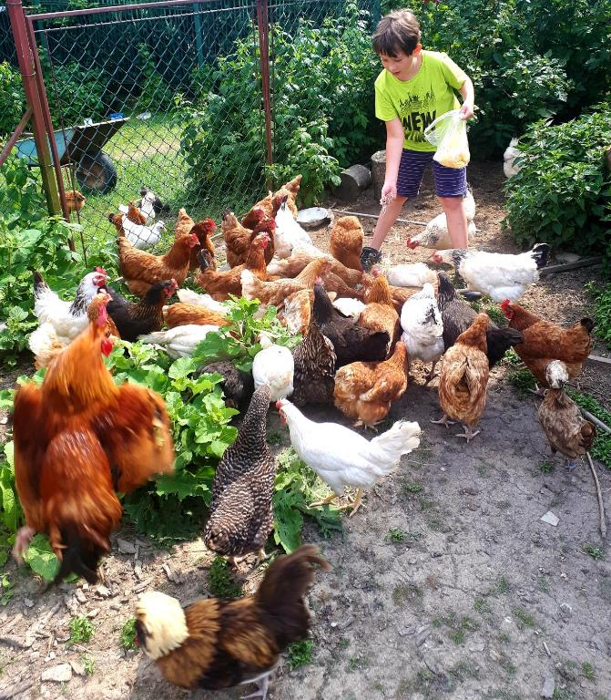Deti v ubytovaní Agroturystyka u Wańka