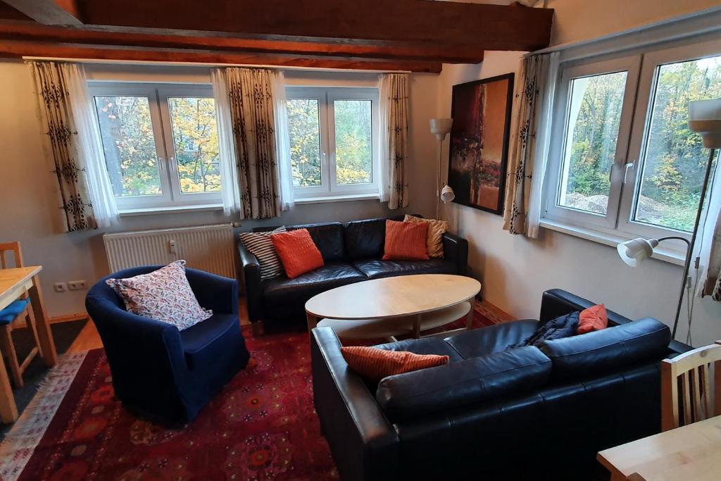 a living room with couches and a table and windows at Campus Apartment Martin in Dresden