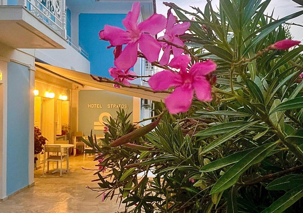 Zahrada ubytování Stratos Hotel