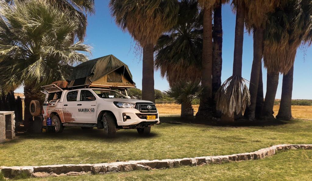 a white truck parked in a field with palm trees at Kalahari Farmhouse Campsite in Stampriet