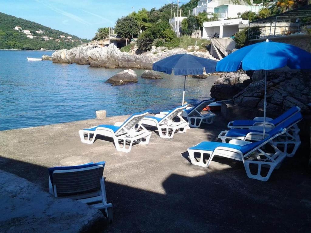 Apartments Rašica Molunat - Studio -appartement Met Terras