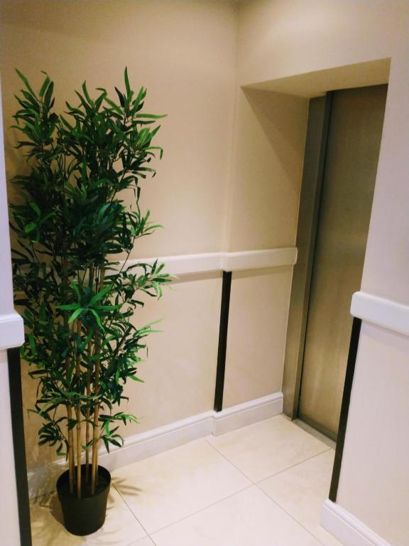 Hotel Edward Paddington - Resim 34