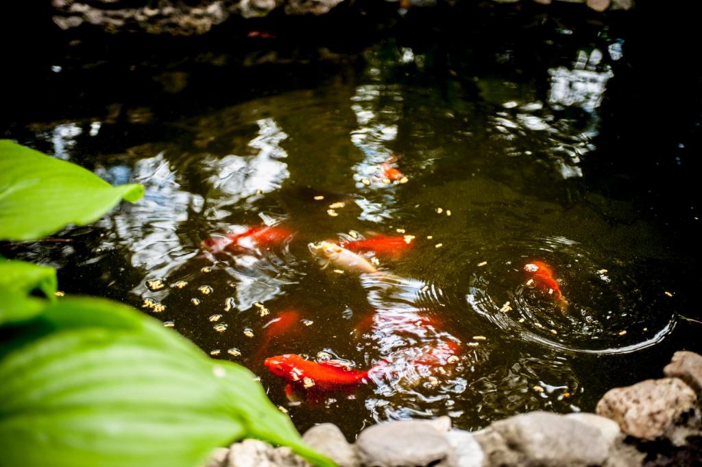 Beatrix Hotel - Resim 45