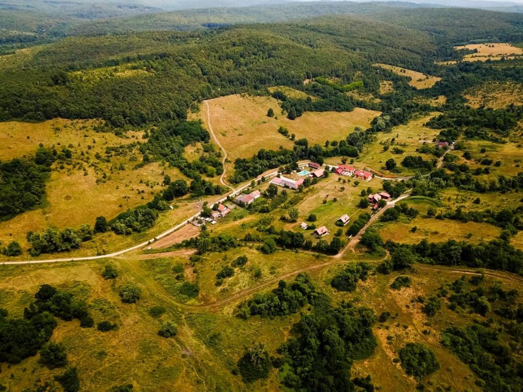 an aerial view of a farm with houses and trees at Agrovillage in Labaşinţ