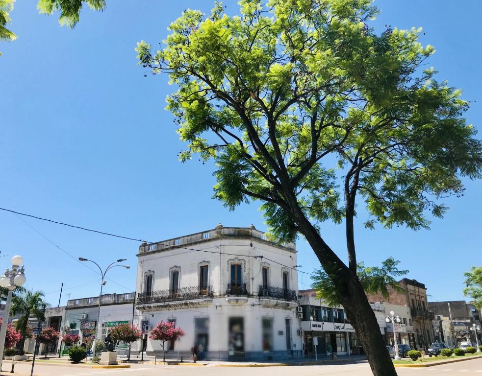 a white building with a tree in front of it at Dia 32 Guest House in Esperanza