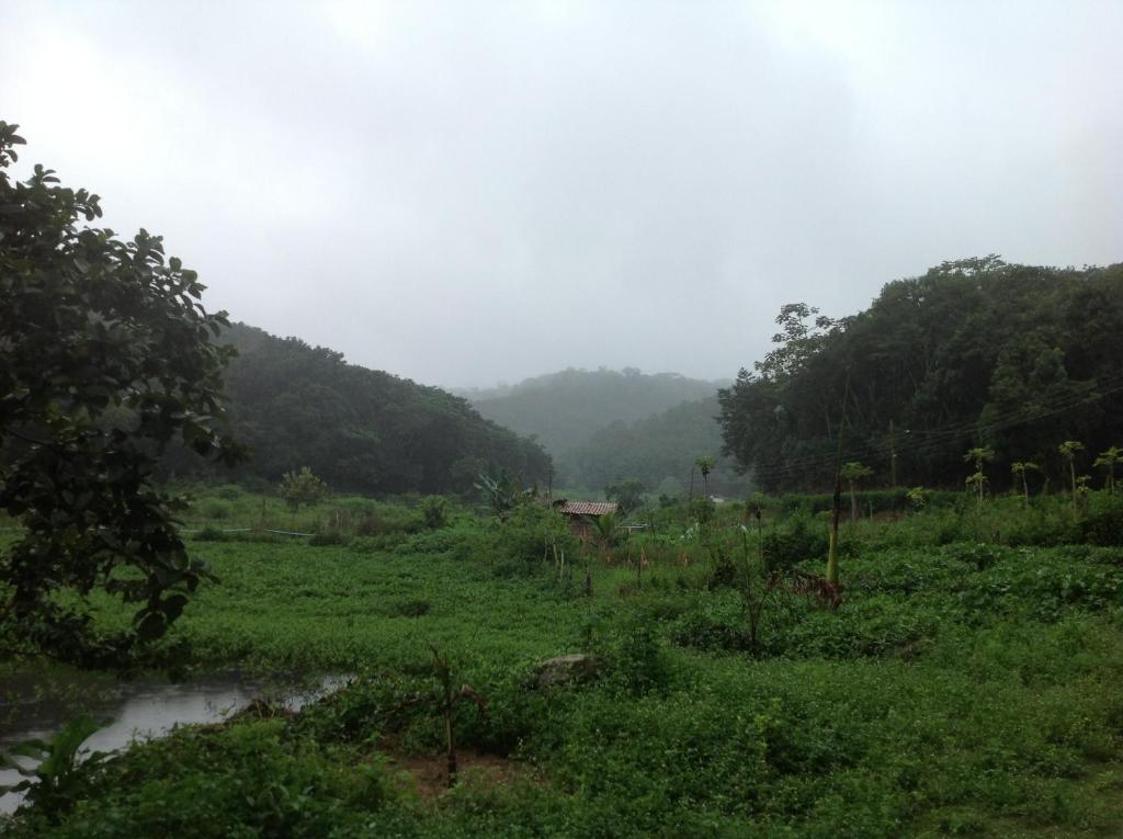 Paisagem natural perto do hotel