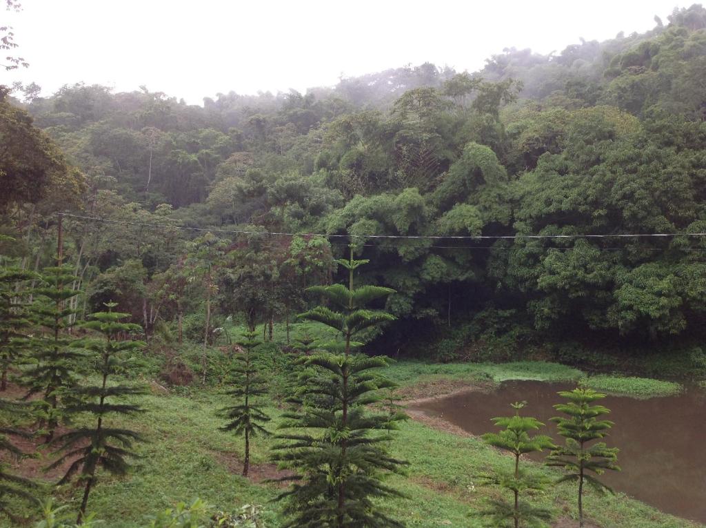 Paisagem natural perto do hotel