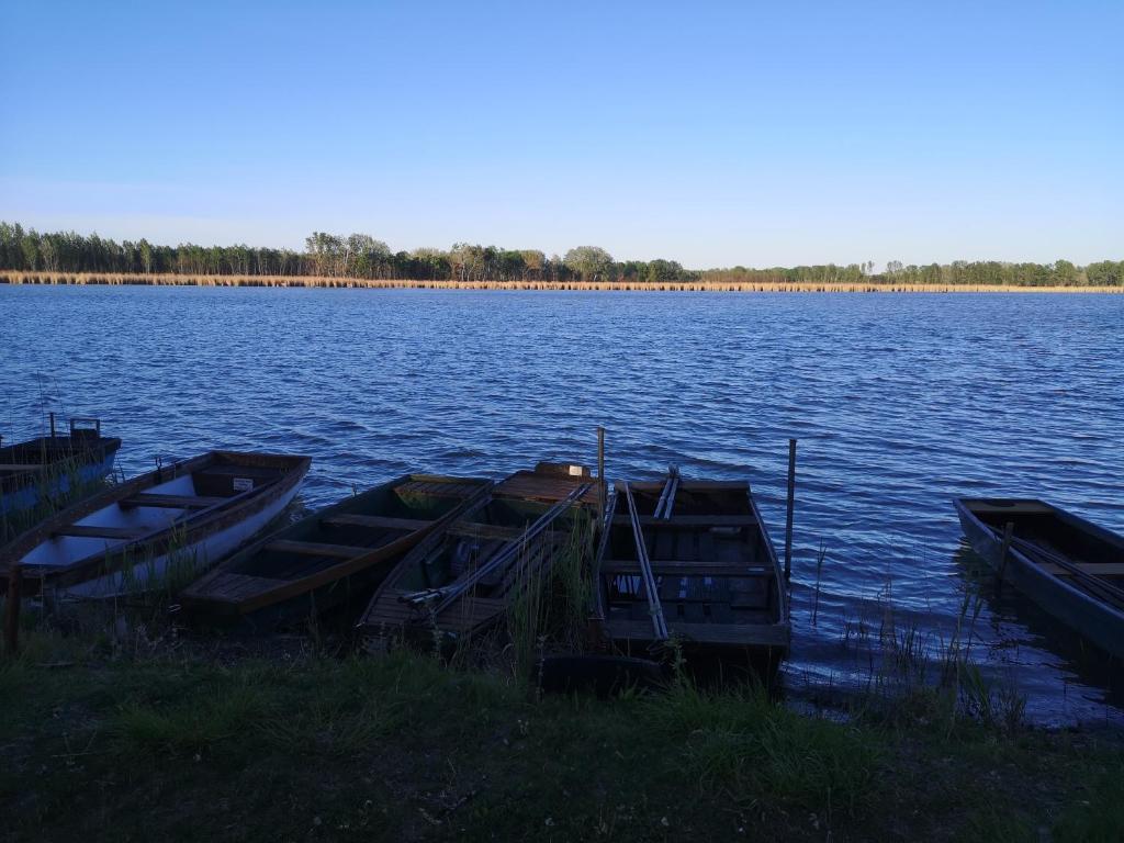 Príroda v okolí dovolenkového domu