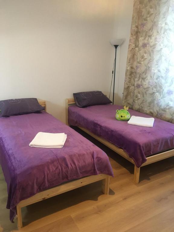 Гостевая студия в п Песочный рядом с Онкоцентром - отзывы и видео