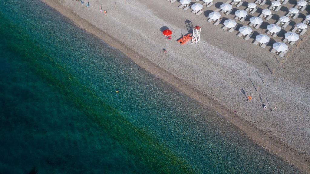 Albatros Beach Hotel photo