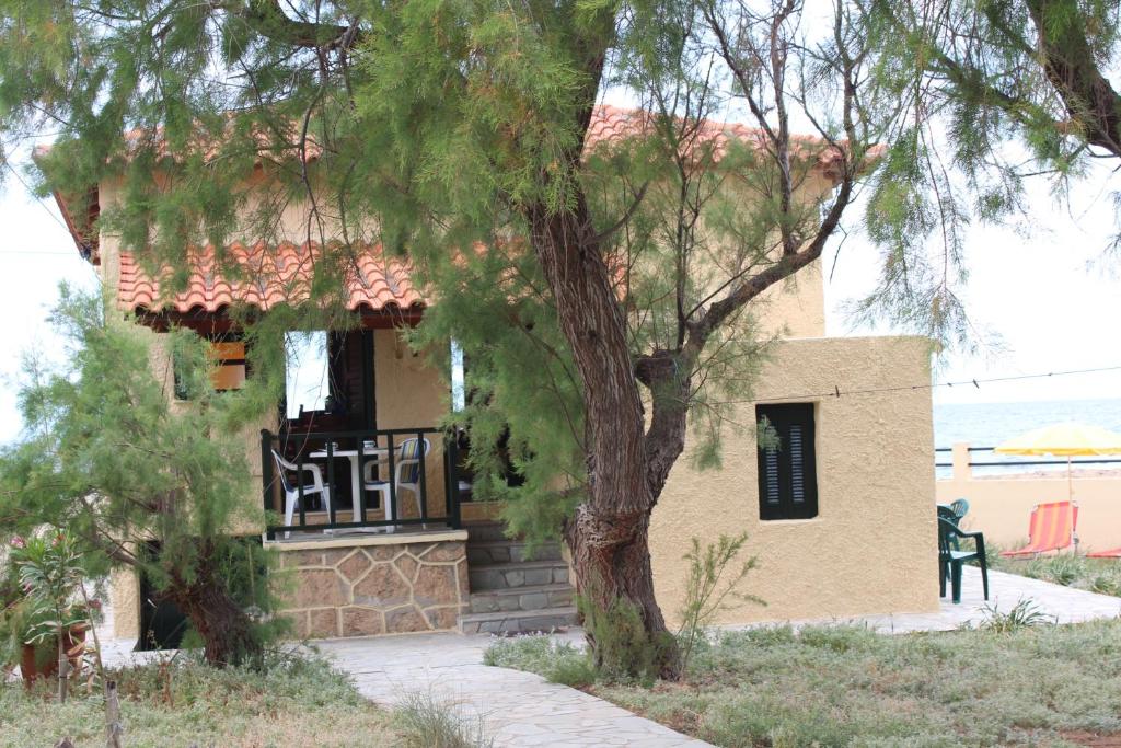 una piccola casa con un albero di fronte di Gianna's House a Stavros