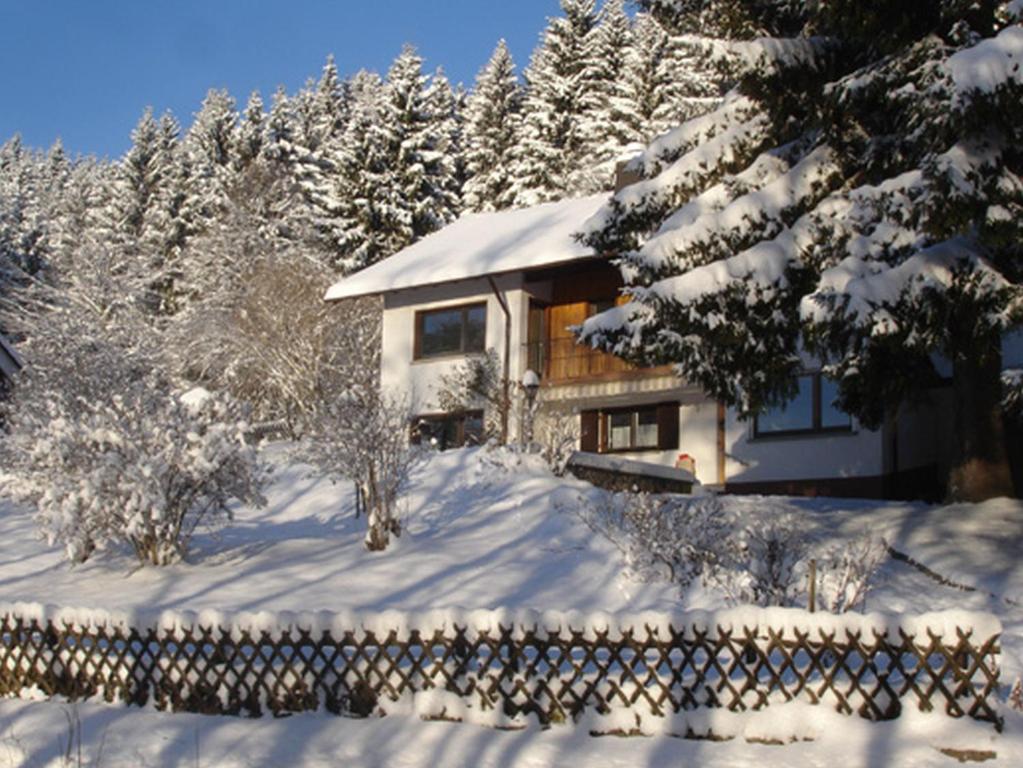 a house covered in snow in front of trees at Haus Wintersonne in Feldberg