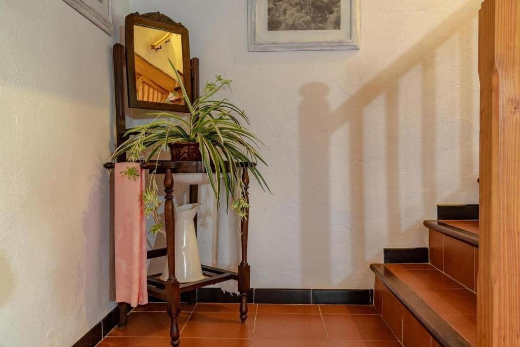 Fotografie z fotogalerie ubytování Villa Suari v destinaci Pollença