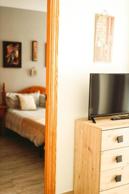 TV a/nebo společenská místnost v ubytování Mirador de Sallent - piso con vistas