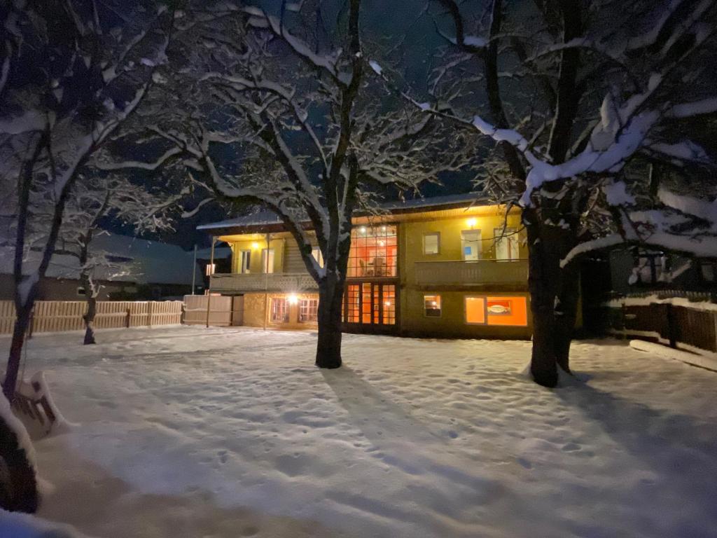 Art Villa Bakuriani зимой