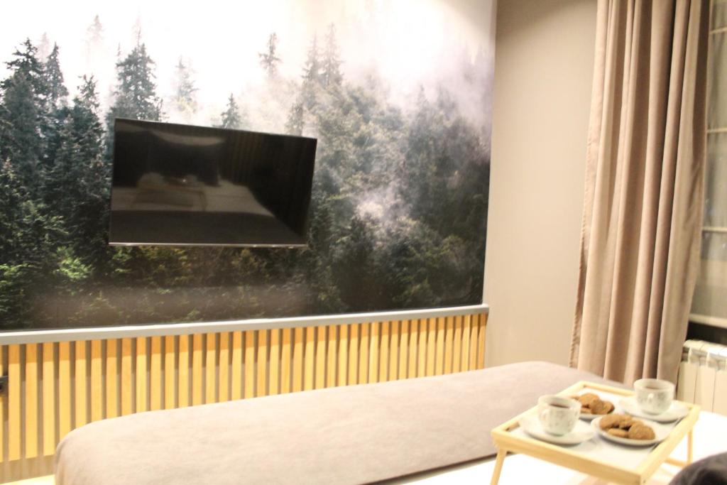 TV a/nebo společenská místnost v ubytování Modern mountain - Crown apartment