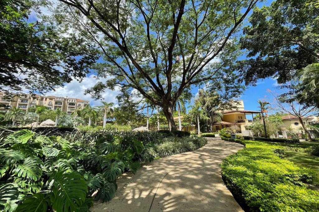 Zahrada ubytování Hotel Tamarindo Diria Beach Resort