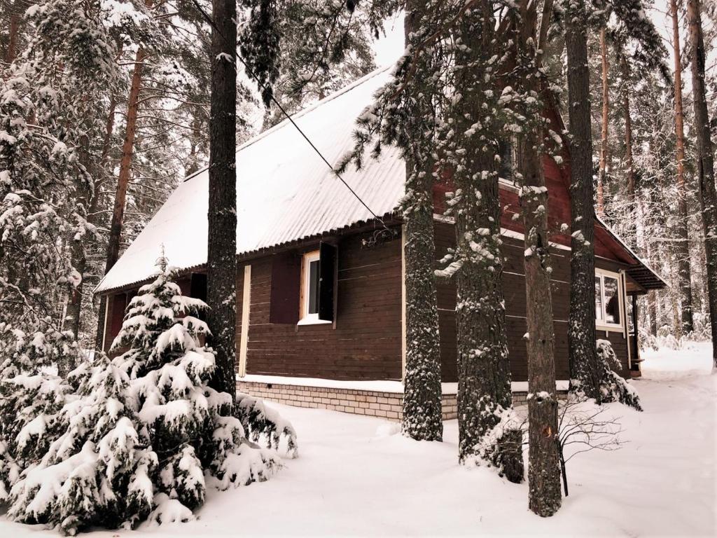 オスタシコフにあるGuest House near t/b Chaikaの雪が積もった森の小屋