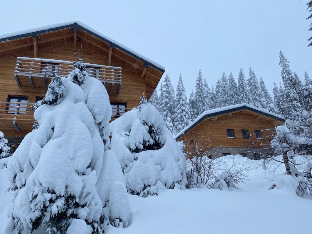 Apartmány Petr Horní Mísečky - Špindlerův Mlýn om vinteren