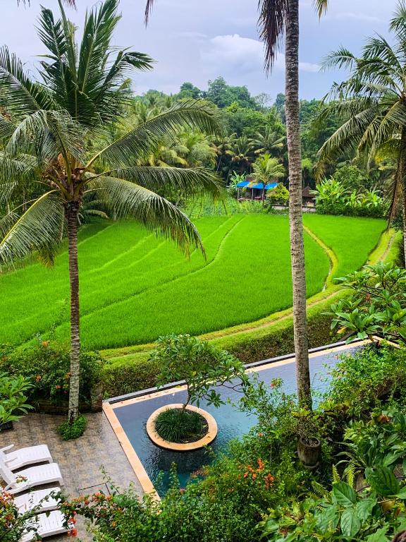 Blick auf einen Garten mit Palmen und einem Pool in der Unterkunft Umasari Rice Terrace Villa by AGATA in Tabanan