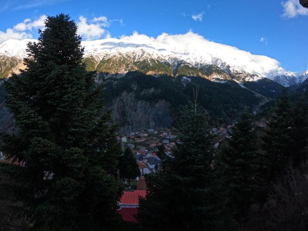 Gallery image of 4 Seasons Tzoumerka Life in Melissourgoi