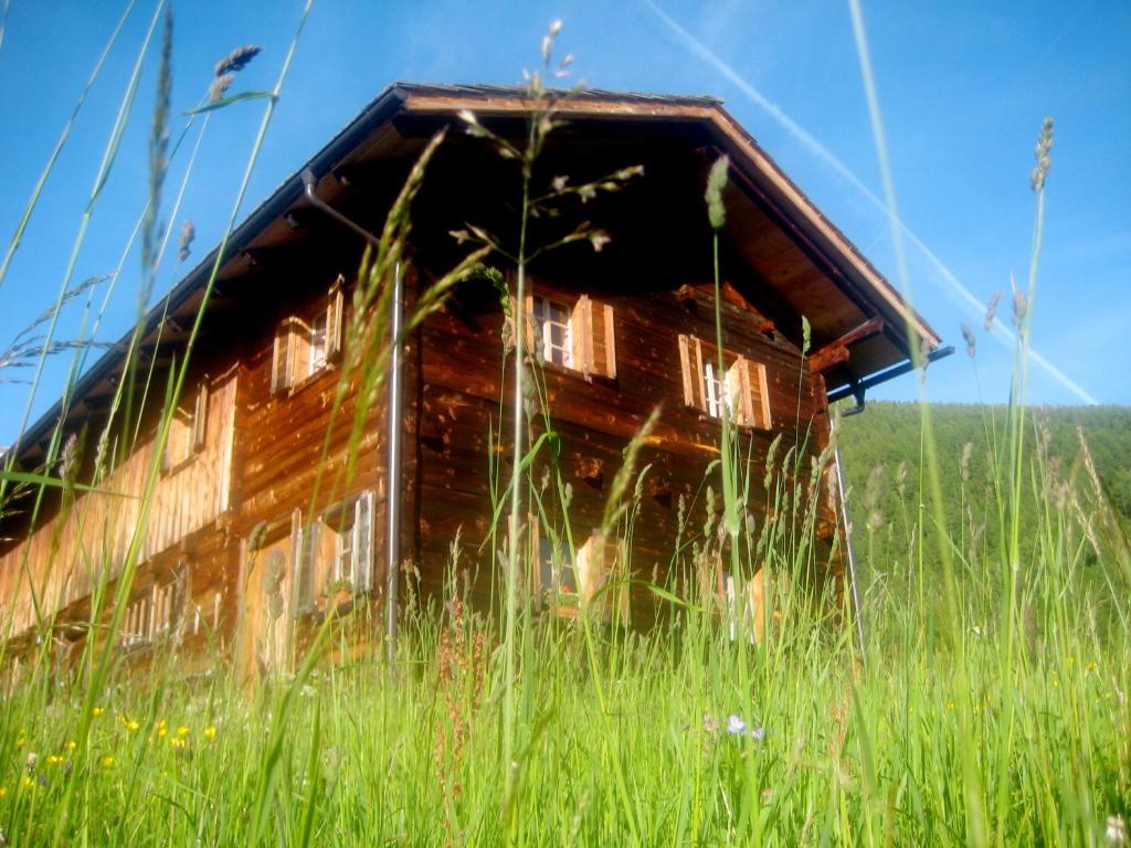 an old barn sitting in a field of tall grass at Almhütte Gorgasser in Heiligenblut