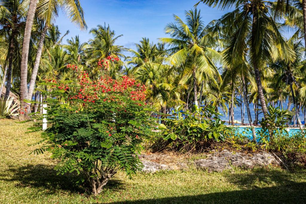Zahrada ubytování PrideInn Flamingo Beach Resort & Spa Mombasa