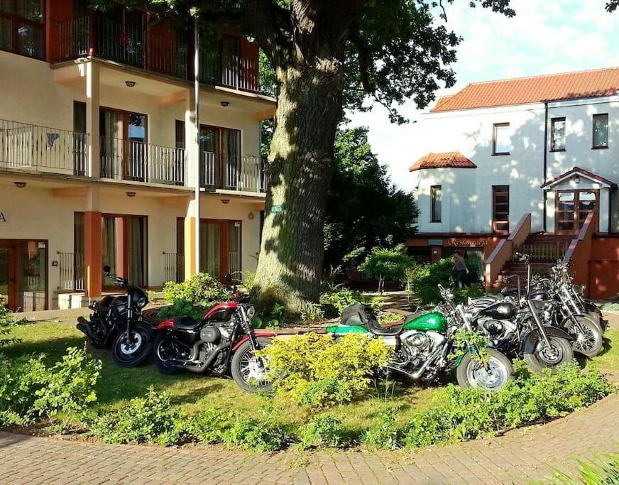 Vonkajšia záhrada v ubytovaní Rezydencja 5 Dębów