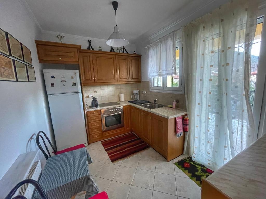 Kuchyň nebo kuchyňský kout v ubytování "Mykines" Apartment of Levidi Arcadian Apartments