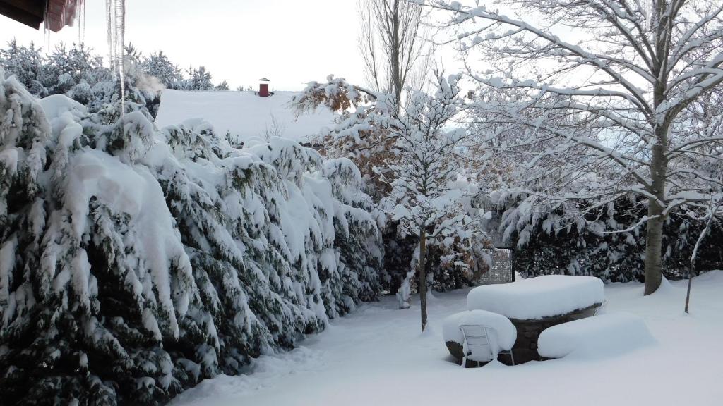 un seto cubierto de nieve con un banco y árboles en Casas Rurales Cimera yBrincalobitos, en Hoyos del Espino