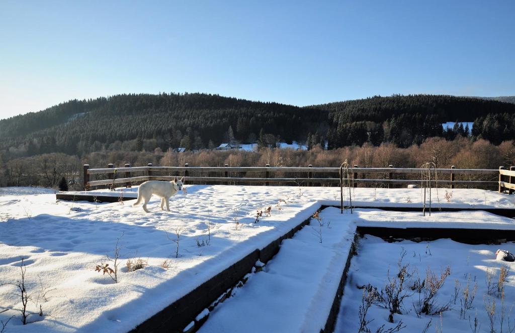 Un paisaje natural cerca de la casa vacacional