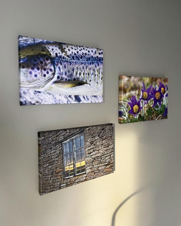Photo from Broholm Bed&Breakfast in Lidköping, Västra Götaland, Sweden