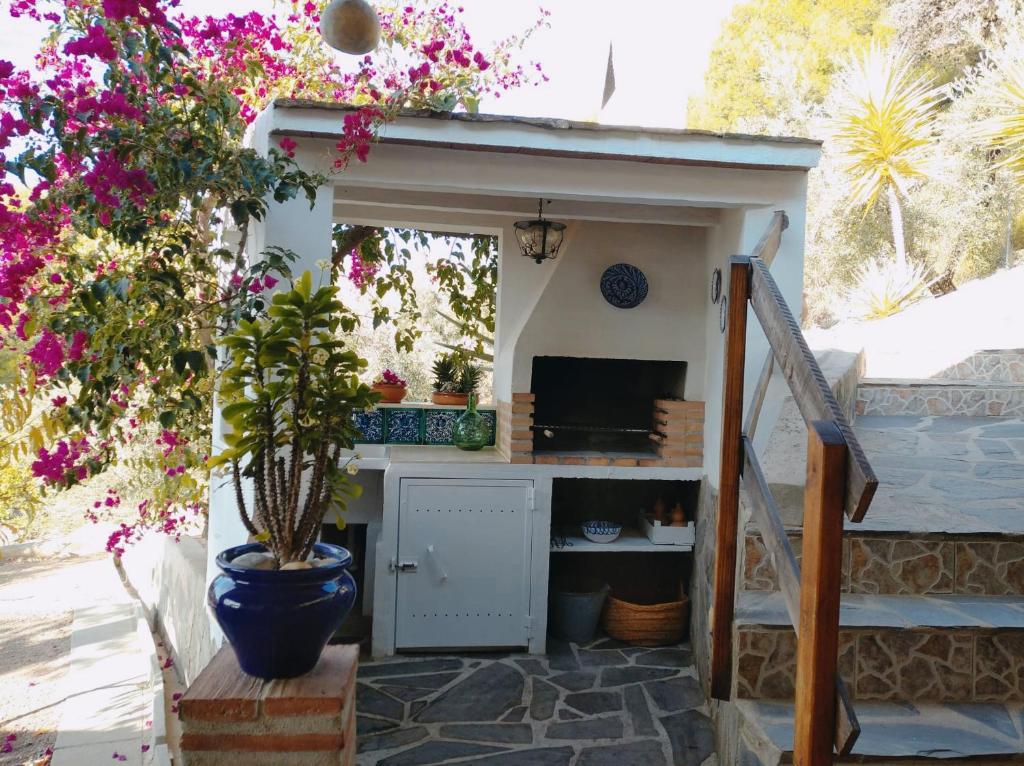 Fotografie z fotogalerie ubytování Casa Rural Las Molina v destinaci Frigiliana