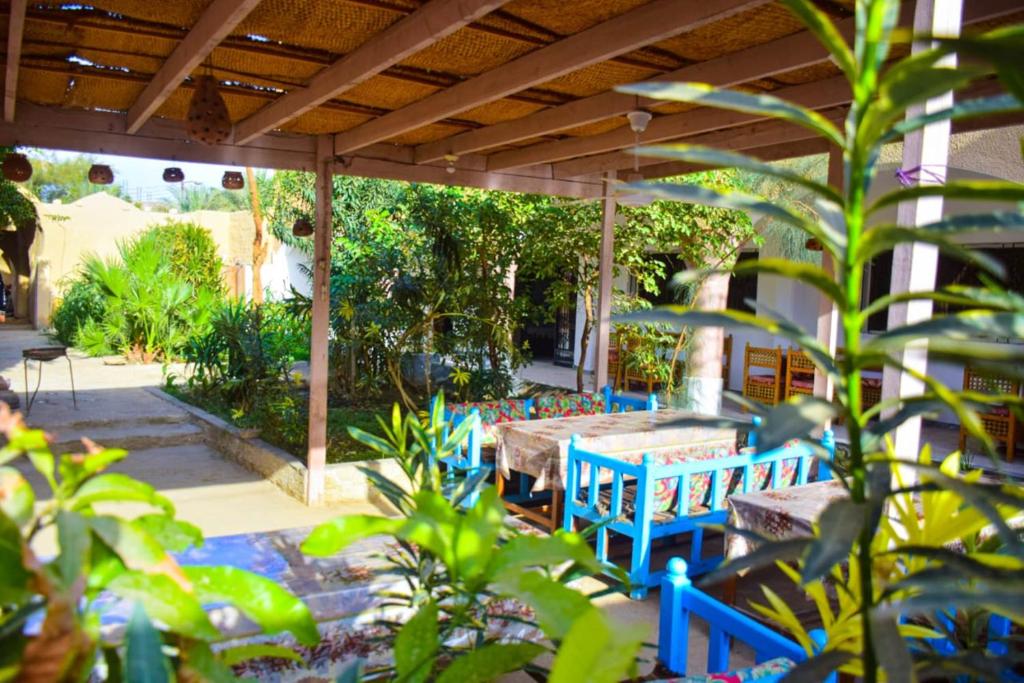 a patio with blue tables and chairs and plants at Rose Guest House in Luxor