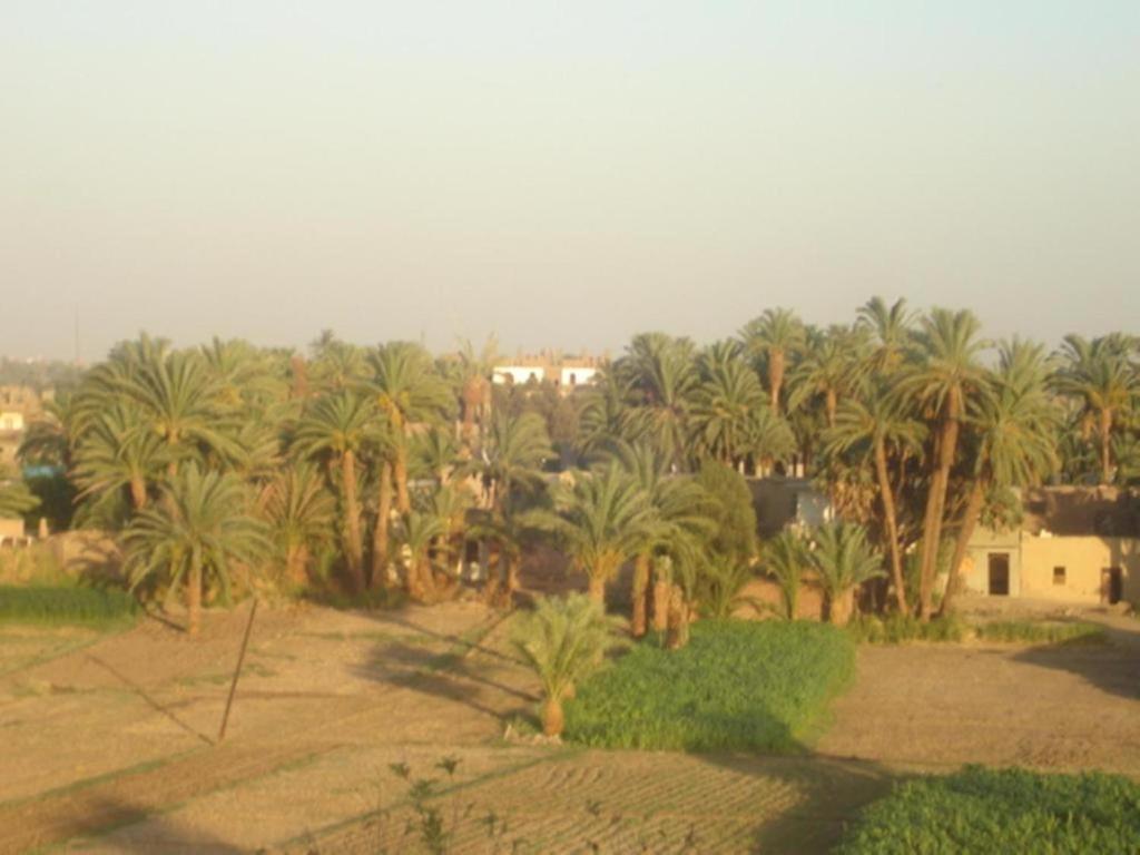 Rose Guest House - 4