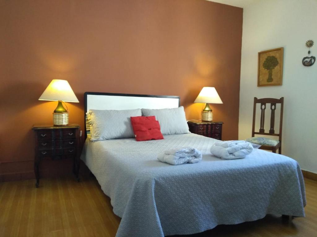 a bedroom with a bed with red pillows and two lamps at Departamento turista in Mendoza