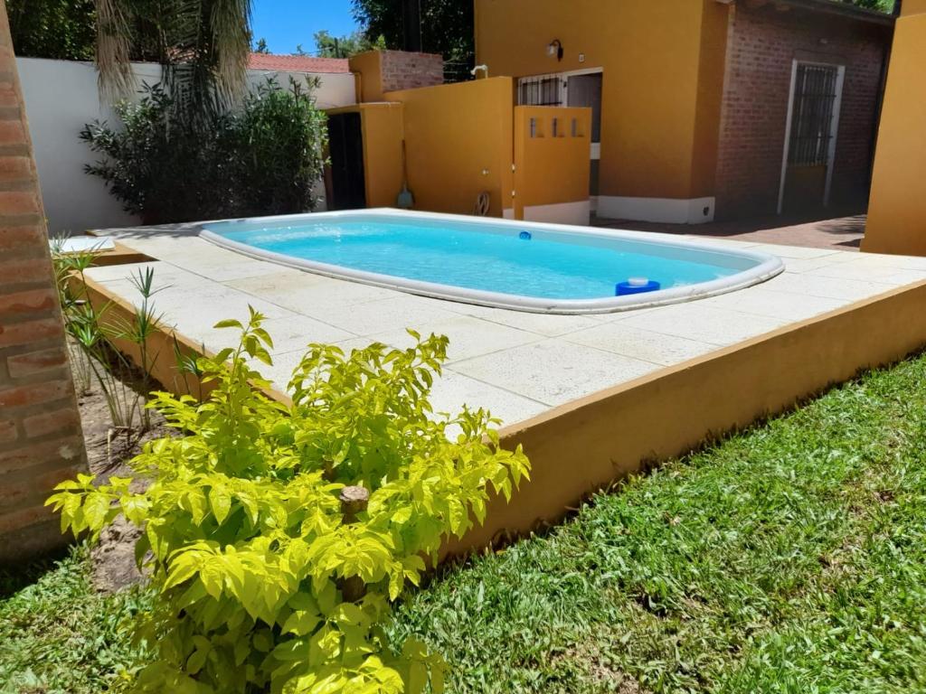 a swimming pool in a yard with plants at Puerto Soñado in Colón