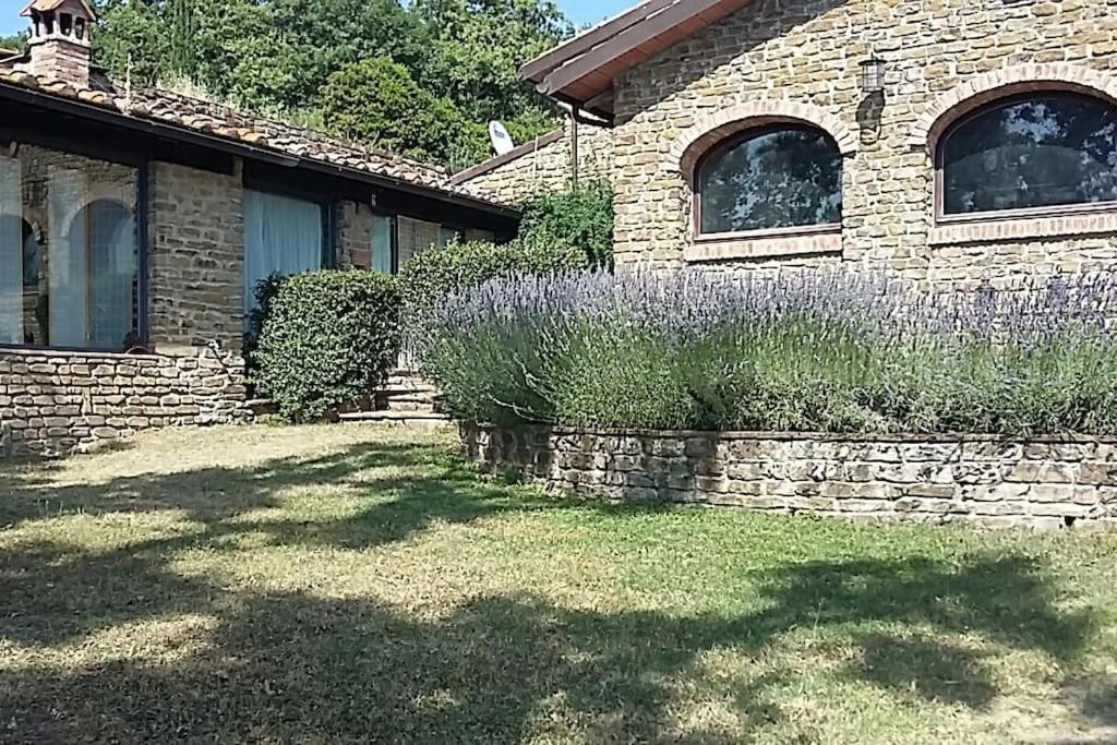 Zahrada ubytování Villa Pianelli