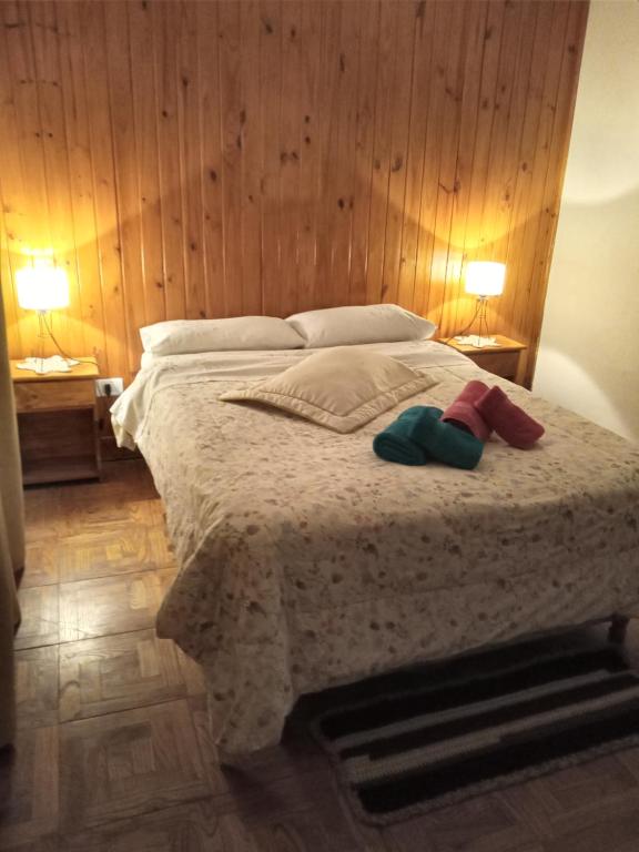 1 dormitorio con 1 cama grande y 2 lámparas en El Descanso en Lobos