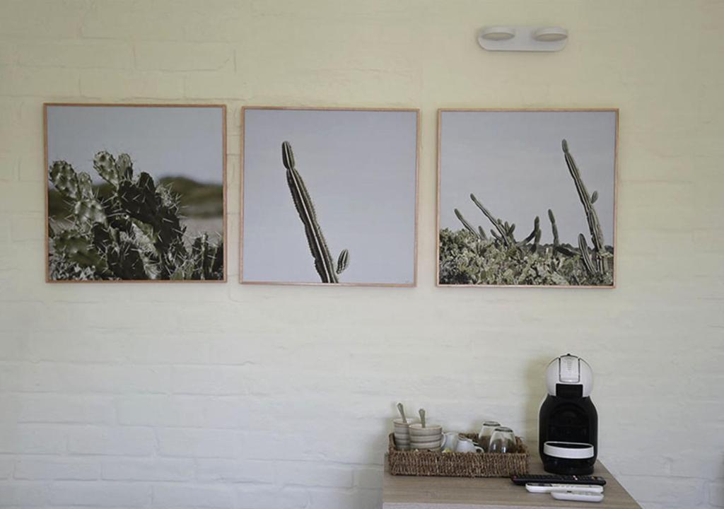 Fotografie z fotogalerie ubytování Posada Tamarindo v destinaci José Ignacio