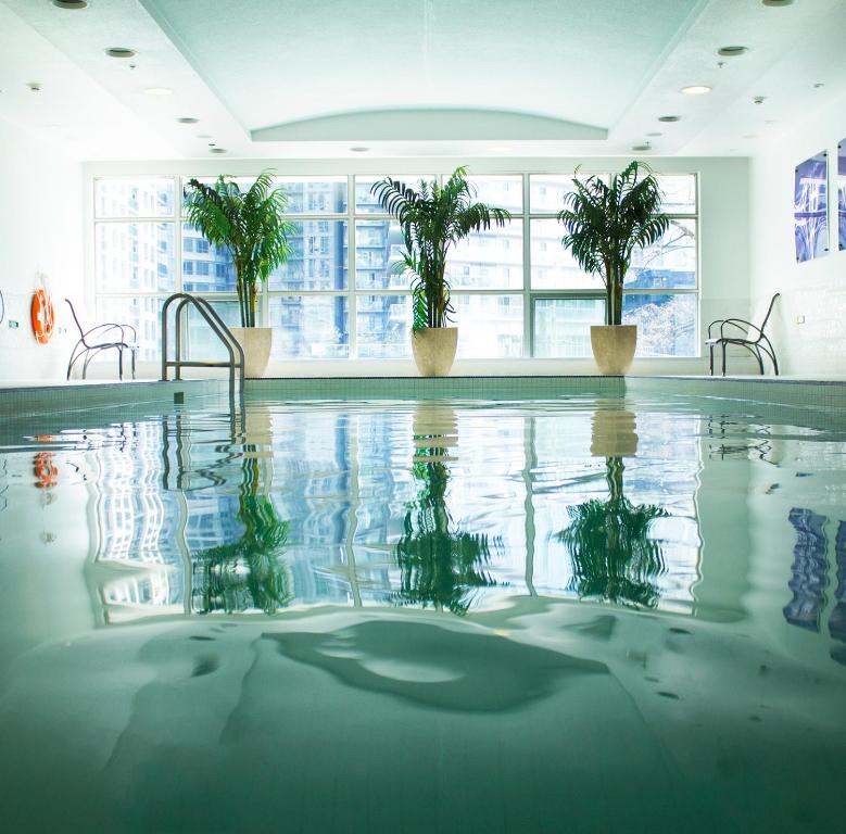 Bazén v ubytování SoHo Hotel Toronto nebo v jeho okolí